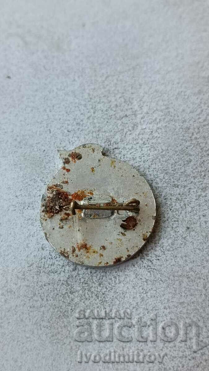 Badge KLH TNGP VIET NAM with price 3.65 BGN | € 1.87 Badge KLH TNGP VIET NAM with price 3.65 BGN | € 1.87