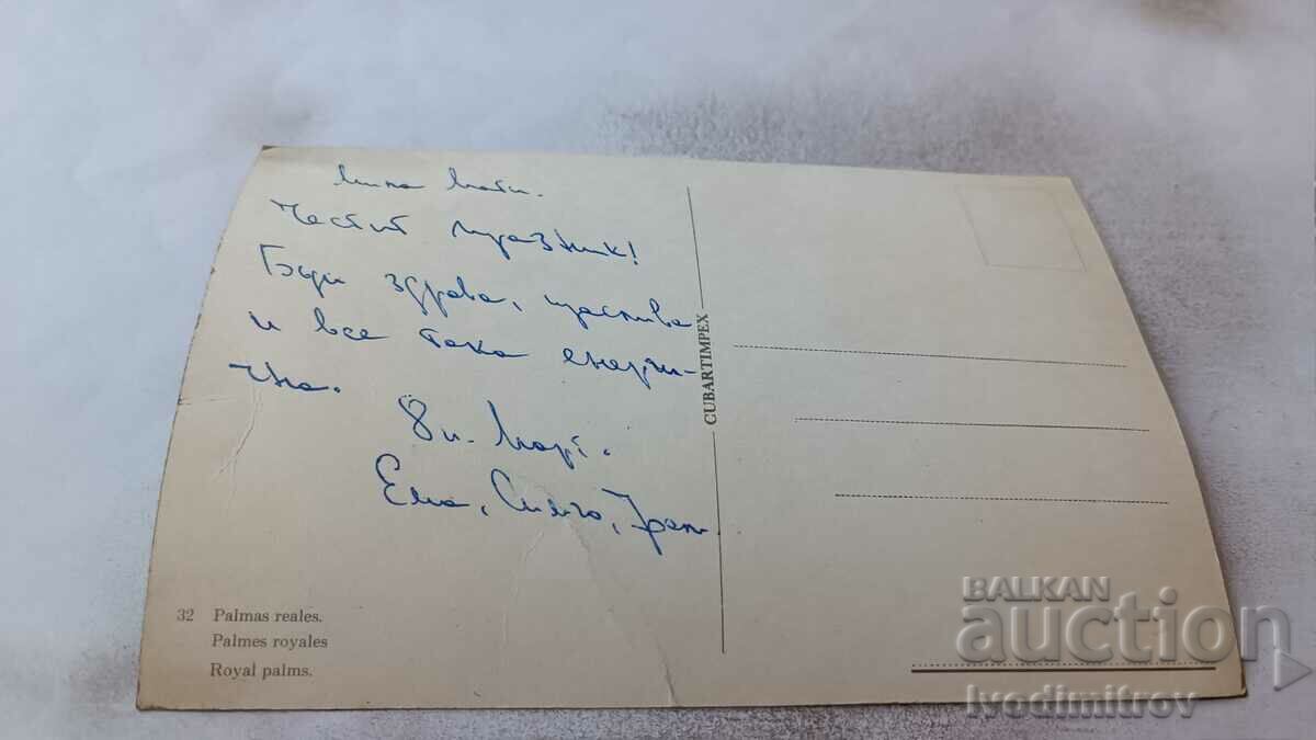 Royal Palms postcard with price 0.75 BGN | € 0.38 Royal Palms postcard with price 0.75 BGN | € 0.38