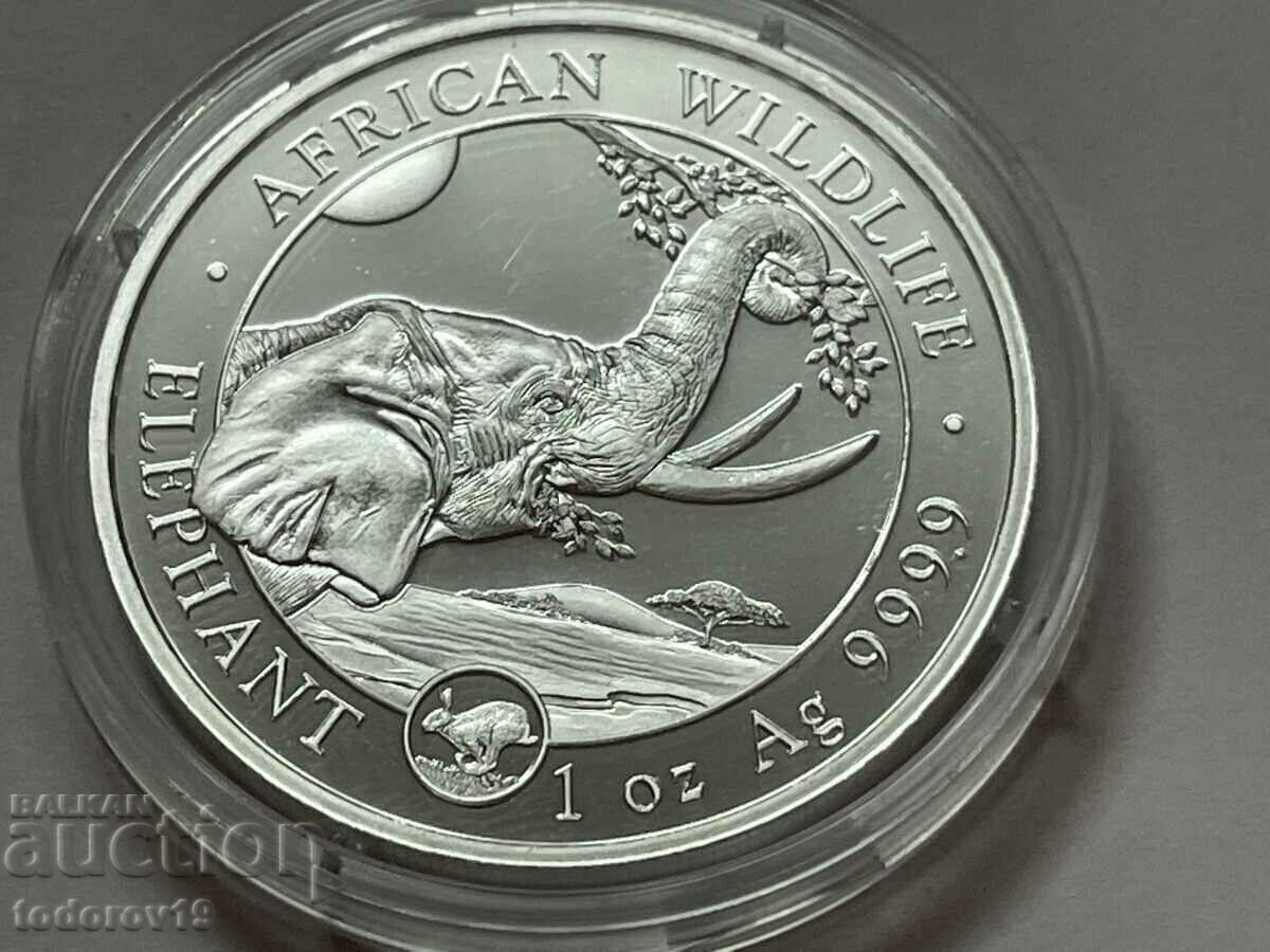 Auction  Silver 1 oz Somali Elephant 2023 - Mar. Rabbit