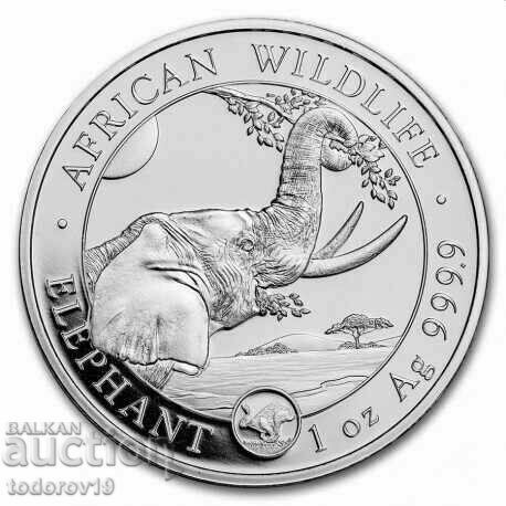 Silver 1 oz Somali Elephant 2023 - Mar. Rabbit