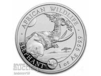 Silver 1 oz Somali Elephant 2023 - Μάρ. Κουνέλι