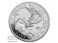 Silver 1 oz Somali Elephant 2023 - Mar. Rabbit