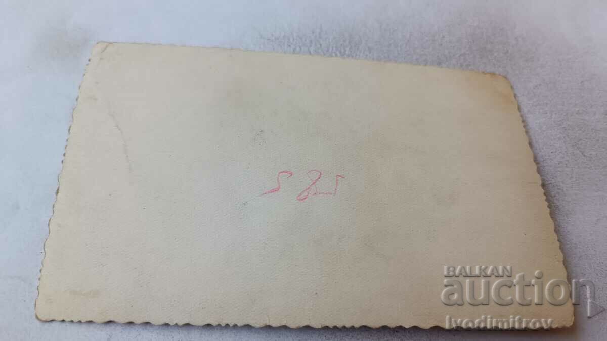 Photo Little girl in a white dress with price 1.15 BGN | € 0.59 Photo Little girl in a white dress with price 1.15 BGN | € 0.59