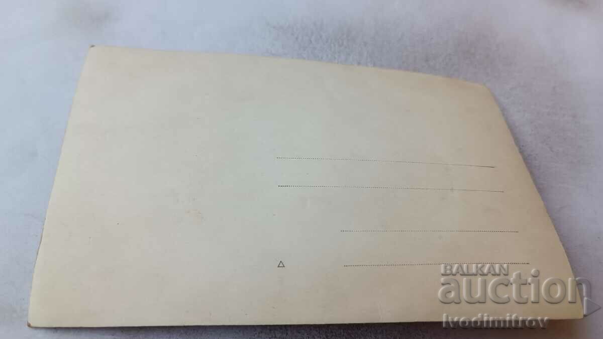 Φωτογραφία Τρία νεαρά κορίτσια στο πάρκο με τιμή 1.25 BGN | € 0.64 Φωτογραφία Τρία νεαρά κορίτσια στο πάρκο με τιμή 1.25 BGN | € 0.64