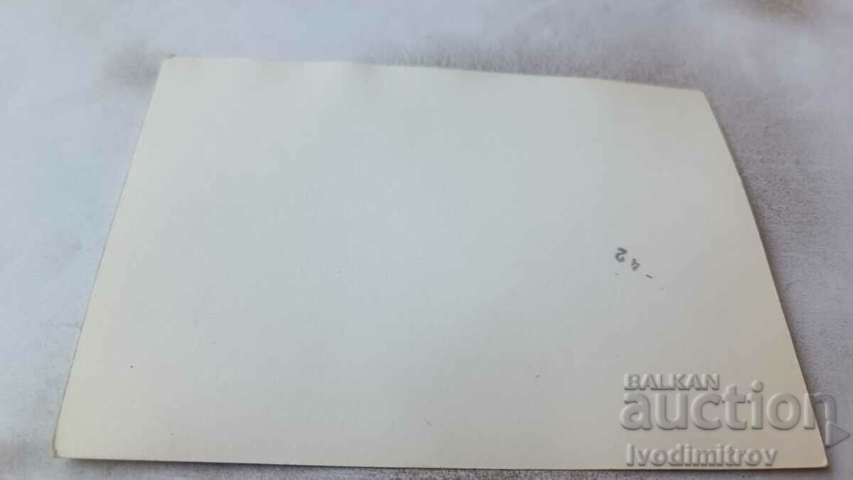 Photo Hunting breed dog on the beach with price 1.65 BGN | € 0.84 Photo Hunting breed dog on the beach with price 1.65 BGN | € 0.84