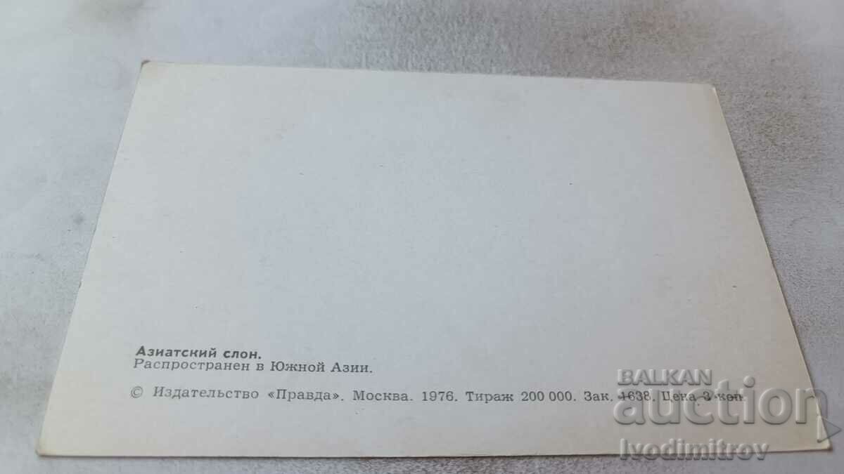 Carte poștală elefant asiatic 1976 cu preț 1.35 BGN | € 0.69 Carte poștală elefant asiatic 1976 cu preț 1.35 BGN | € 0.69