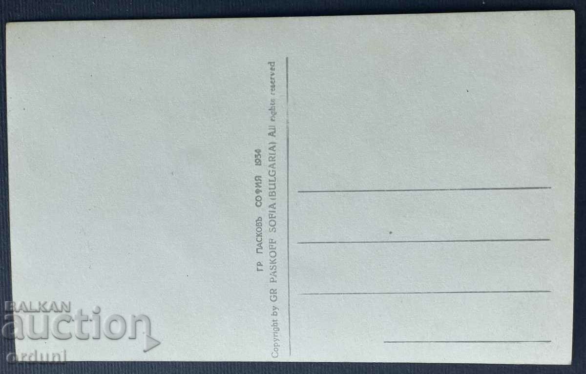 3711 Kingdom of Bulgaria Pleven District Palace and Mausoleum 1936 with price 20.00 BGN | € 10.23 3711 Kingdom of Bulgaria Pleven District Palace and Mausoleum 1936 with price 20.00 BGN | € 10.23
