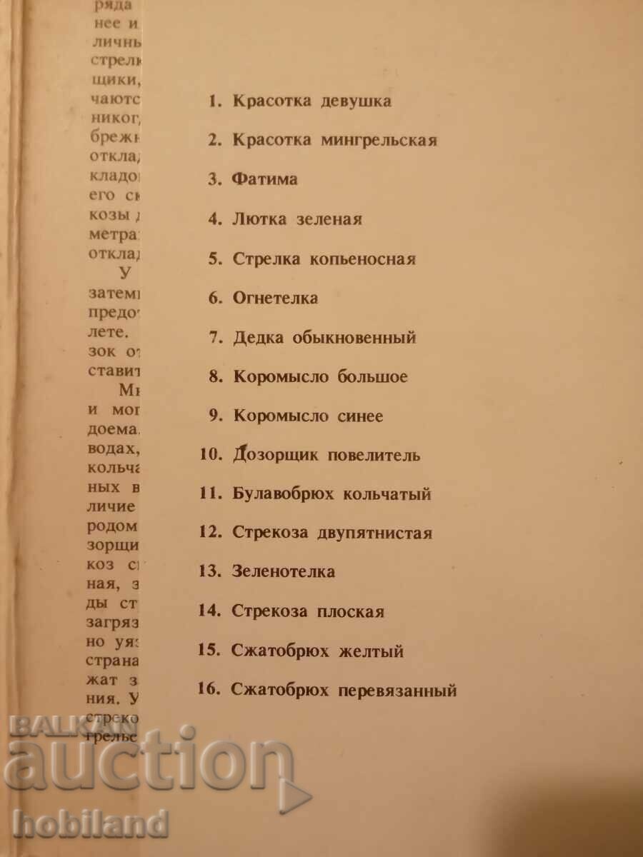 Dragonflies with price 6.00 BGN | € 3.07 Dragonflies with price 6.00 BGN | € 3.07