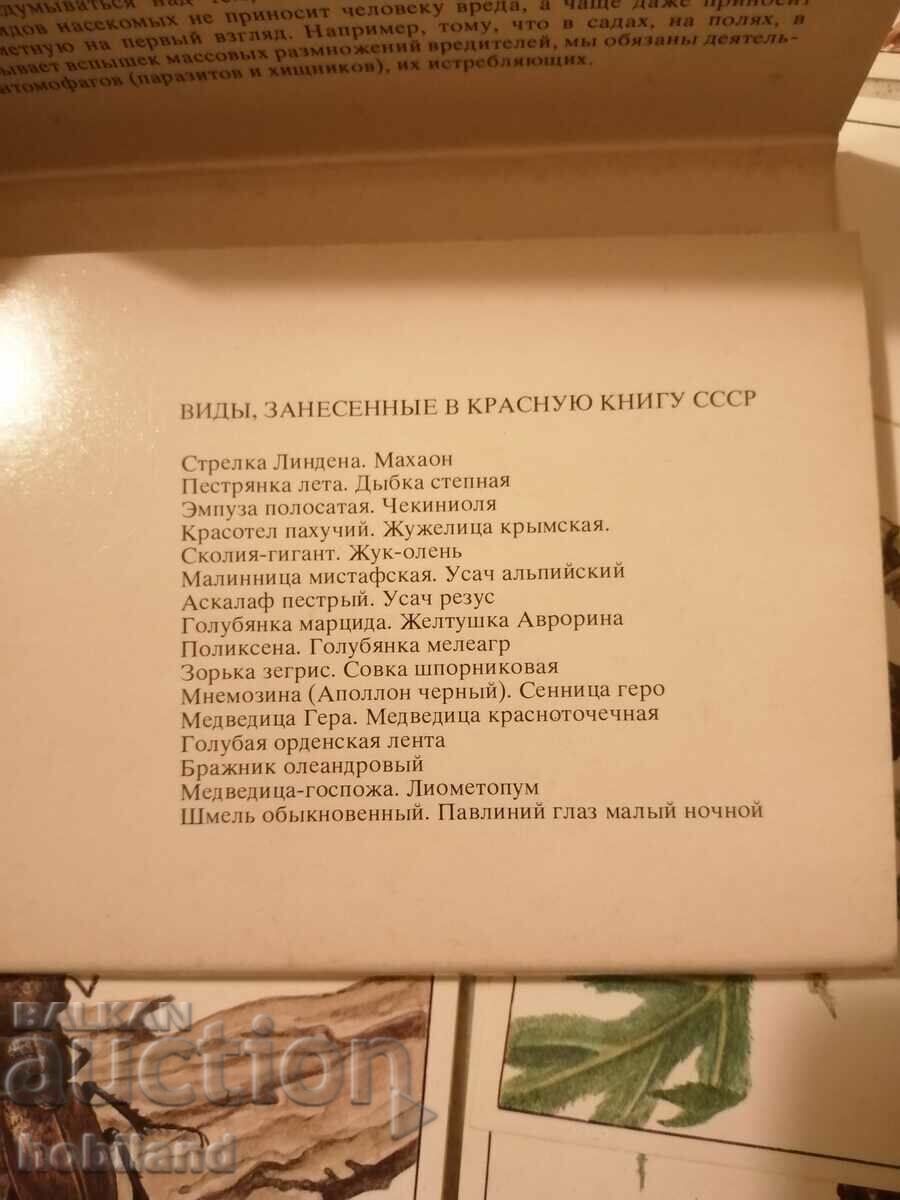 Protected, rare insects with price 6.00 BGN | € 3.07 Protected, rare insects with price 6.00 BGN | € 3.07