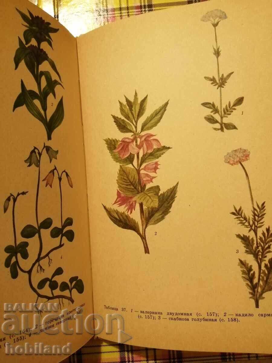 Protected and endangered species with price 18.00 BGN | € 9.20 Protected and endangered species with price 18.00 BGN | € 9.20