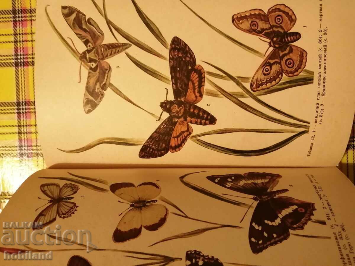 Livrarea Specii protejate și pe cale de dispariție