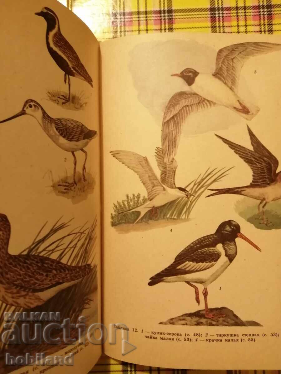 Protected and endangered species - 5 Protected and endangered species - 5