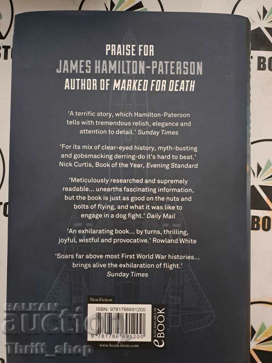 Auction Blackbird The untouchable spy plane James Hamilton Paterson Auction Blackbird The untouchable spy plane James Hamilton Paterson