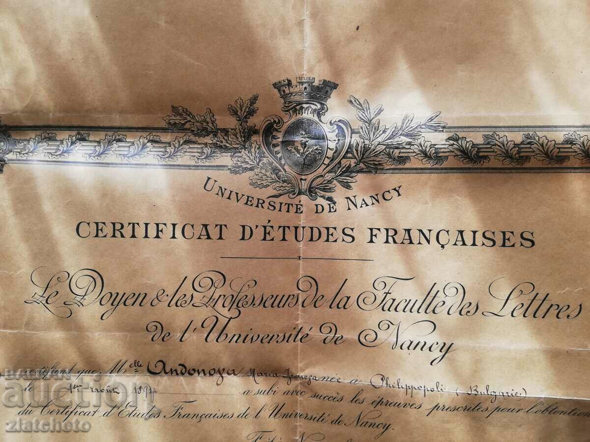 Auction Old diploma Universite de Nancy Auction Old diploma Universite de Nancy