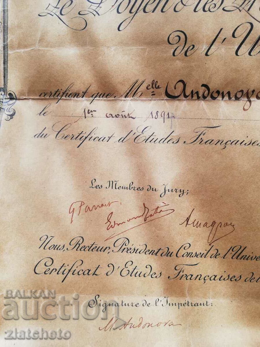 Old diploma Universite de Nancy - 5 Old diploma Universite de Nancy - 5