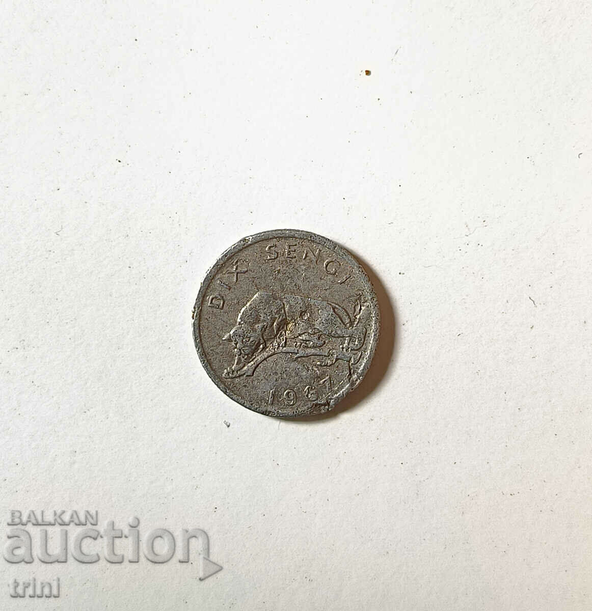 10 sengi Congo 1987 year c26 with price 50.00 BGN | € 25.56 10 sengi Congo 1987 year c26 with price 50.00 BGN | € 25.56