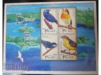Palau - birds