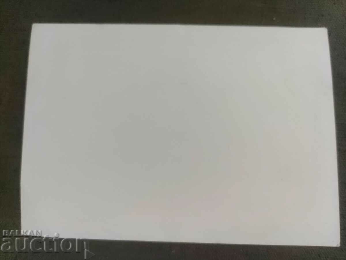 Georgi Dimitrov speaks with price 100.00 BGN | € 51.13