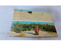 Postcard Tunisia The South