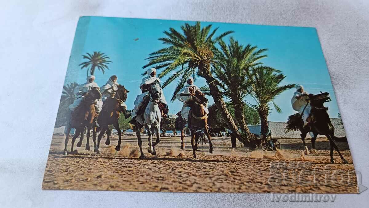 Tunisie Fancy postcard