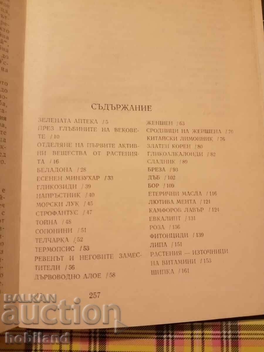 Auction Man's green friends Auction Man's green friends