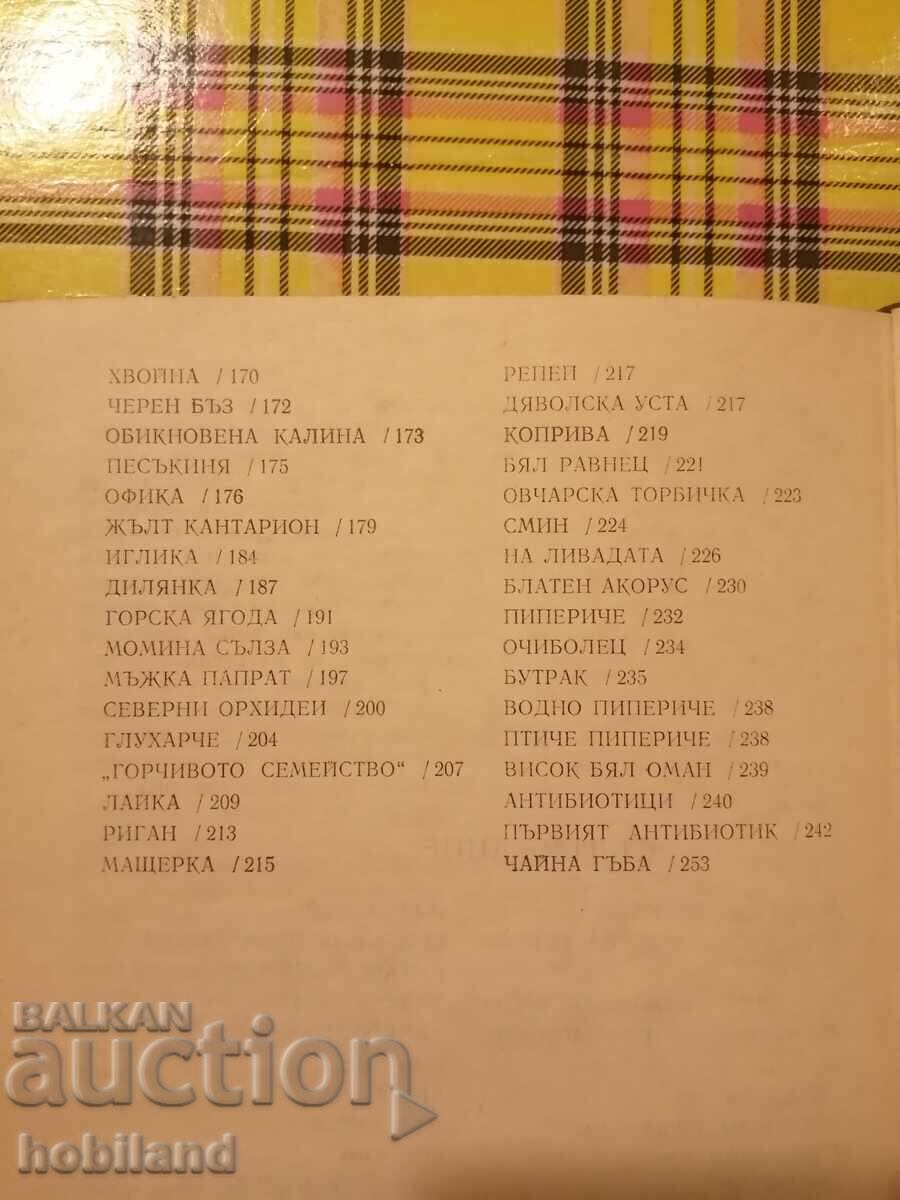 Delivery of Man's green friends Delivery of Man's green friends