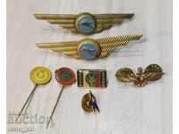 Aviator insignia and badges.