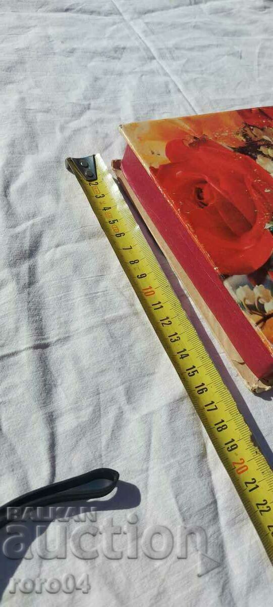 BOX - SURPRISE - DIP BOY - 7 BOX - SURPRISE - DIP BOY - 7