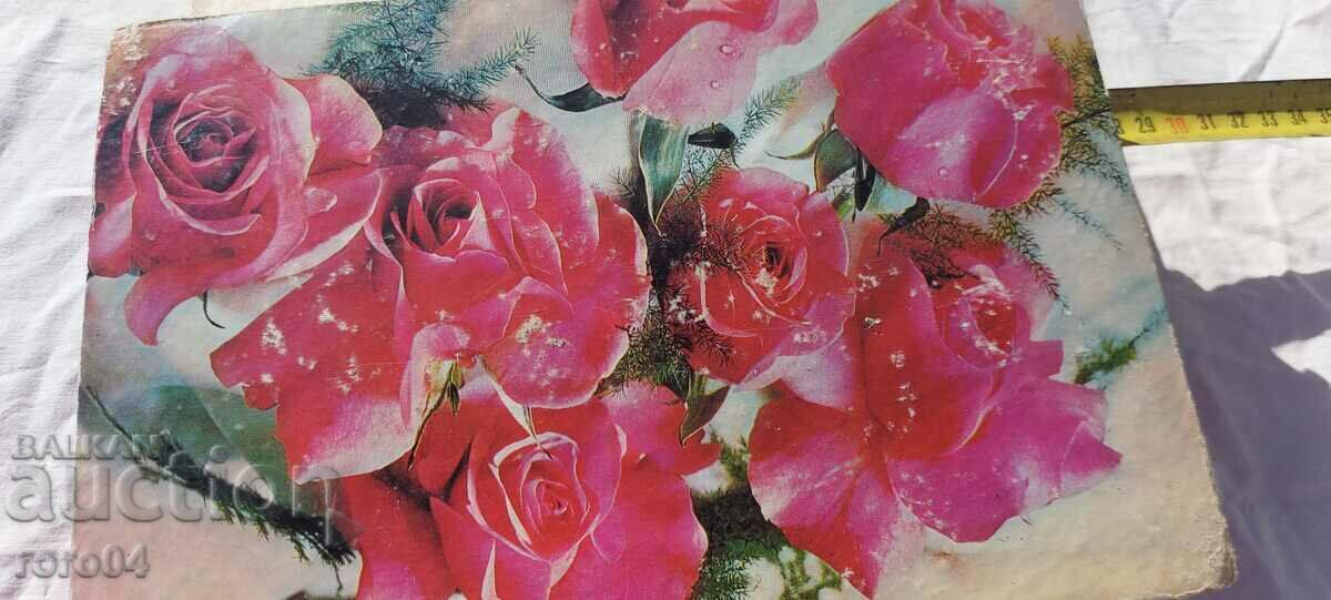 BOX - CANDY - 5 BOX - CANDY - 5