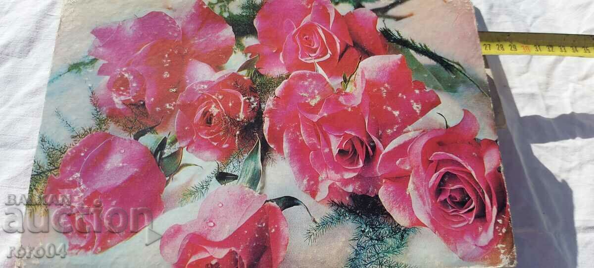 BOX - CANDY - 6 BOX - CANDY - 6