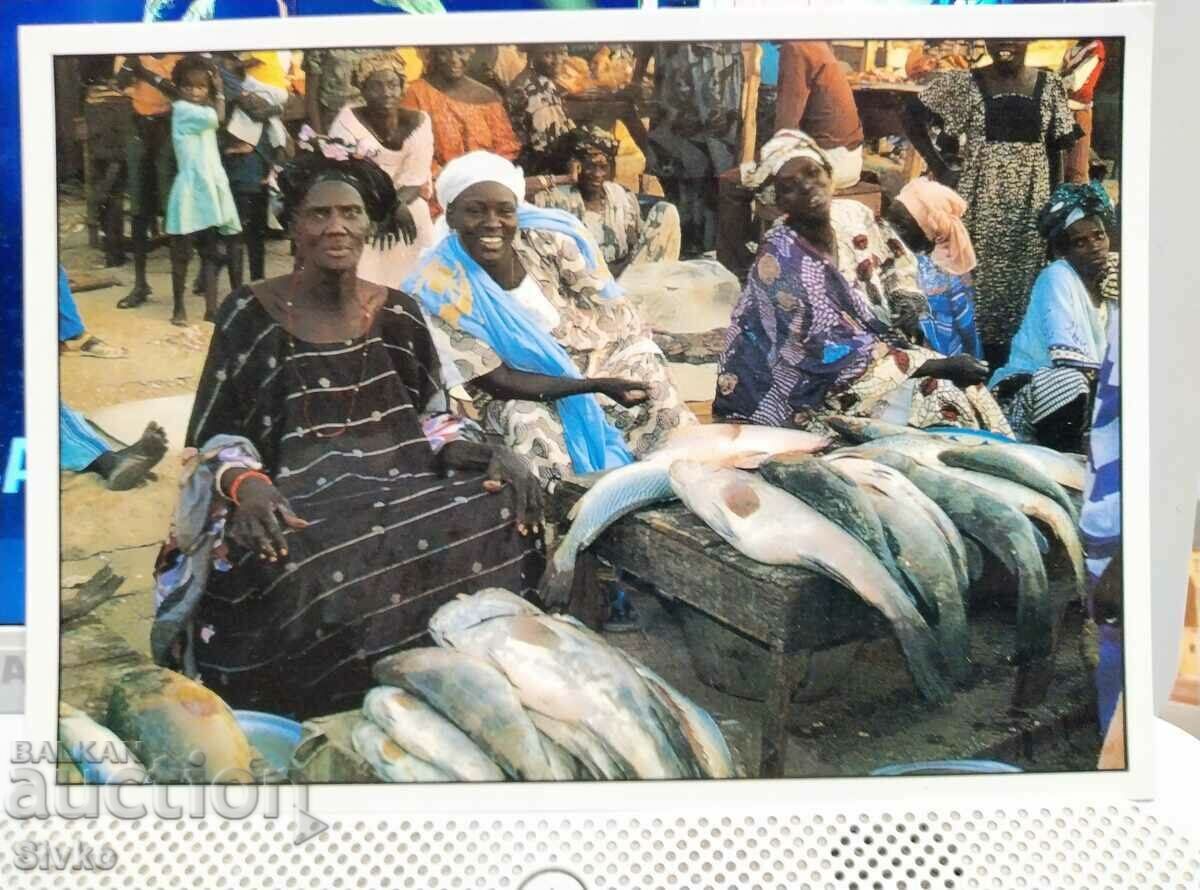 Картичка Senegal 6
