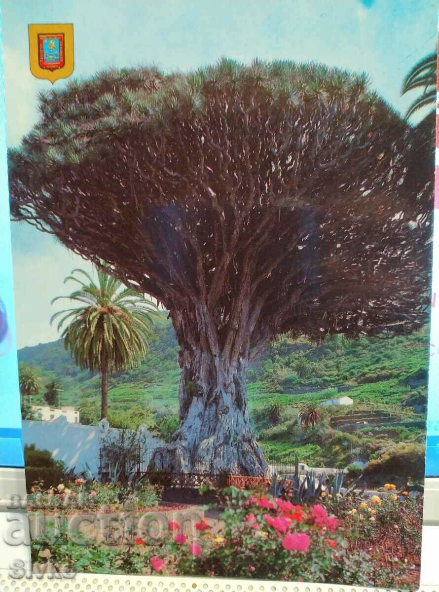 Картичка Tenerife 2