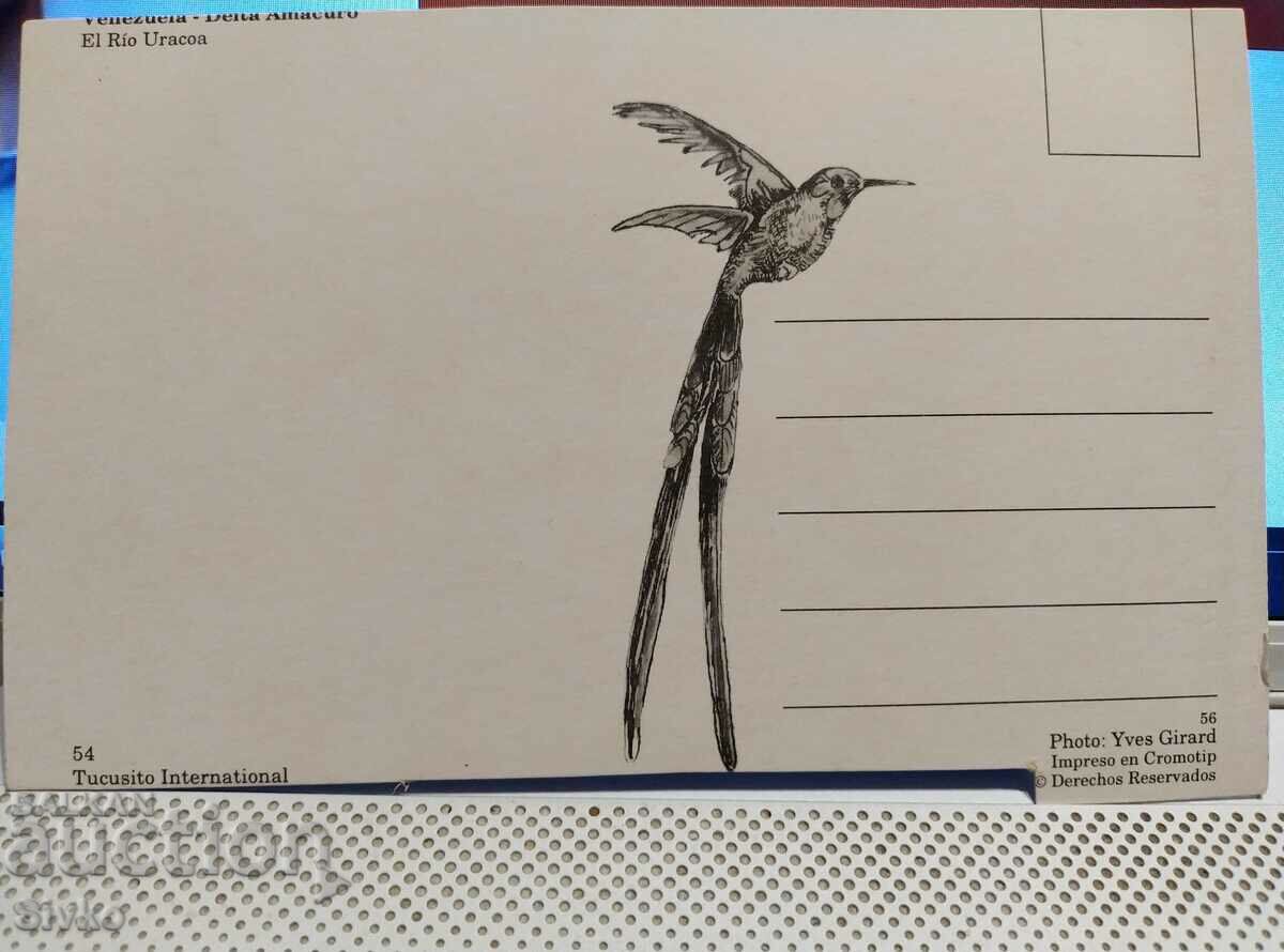 Venezuela card with price 0.49 BGN | € 0.25 Venezuela card with price 0.49 BGN | € 0.25