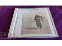 CD audio Camel