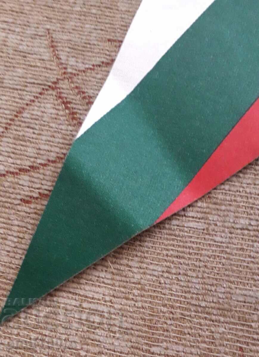 Flag DFS Spartak Pleven - 7