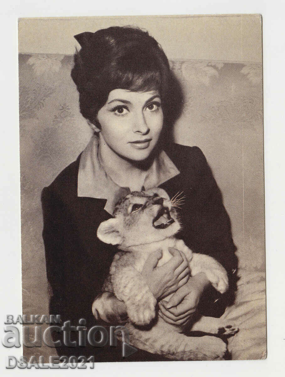 Postcard photo actress Gina Lollobrigida /14108