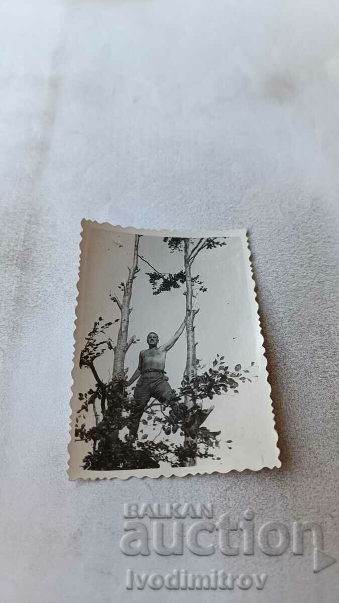 Φωτογραφία Ένας άνδρας γυμνός μέχρι τη μέση σκαρφάλωσε σε ένα δέντρο