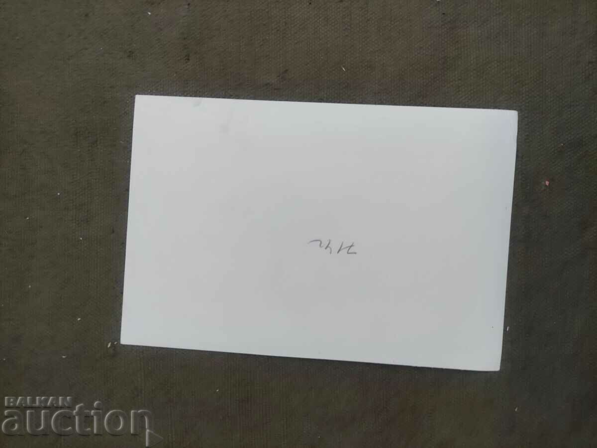 The funeral of Georgi Dimitrov with price 600.00 BGN | € 306.78 The funeral of Georgi Dimitrov with price 600.00 BGN | € 306.78