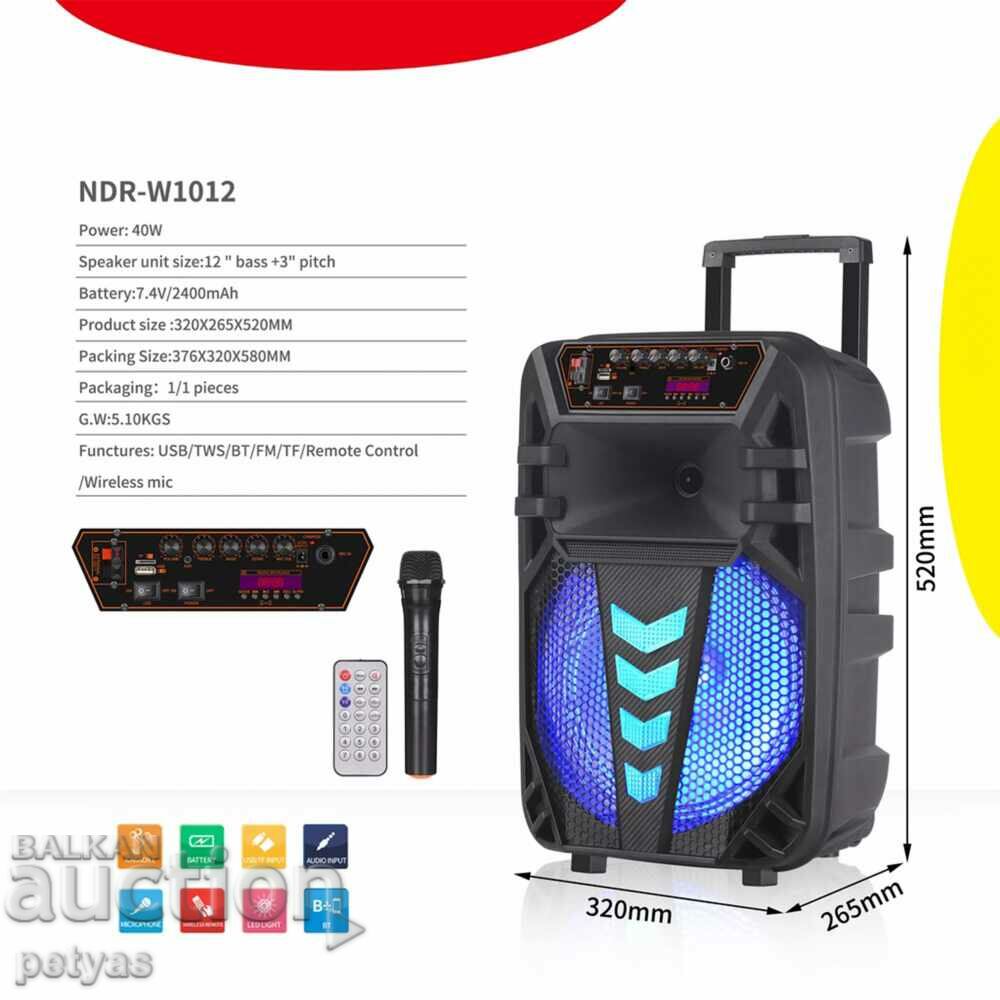 Livrarea Difuzor Karaoke 12 inch NDR W1012 cu microfon wireless