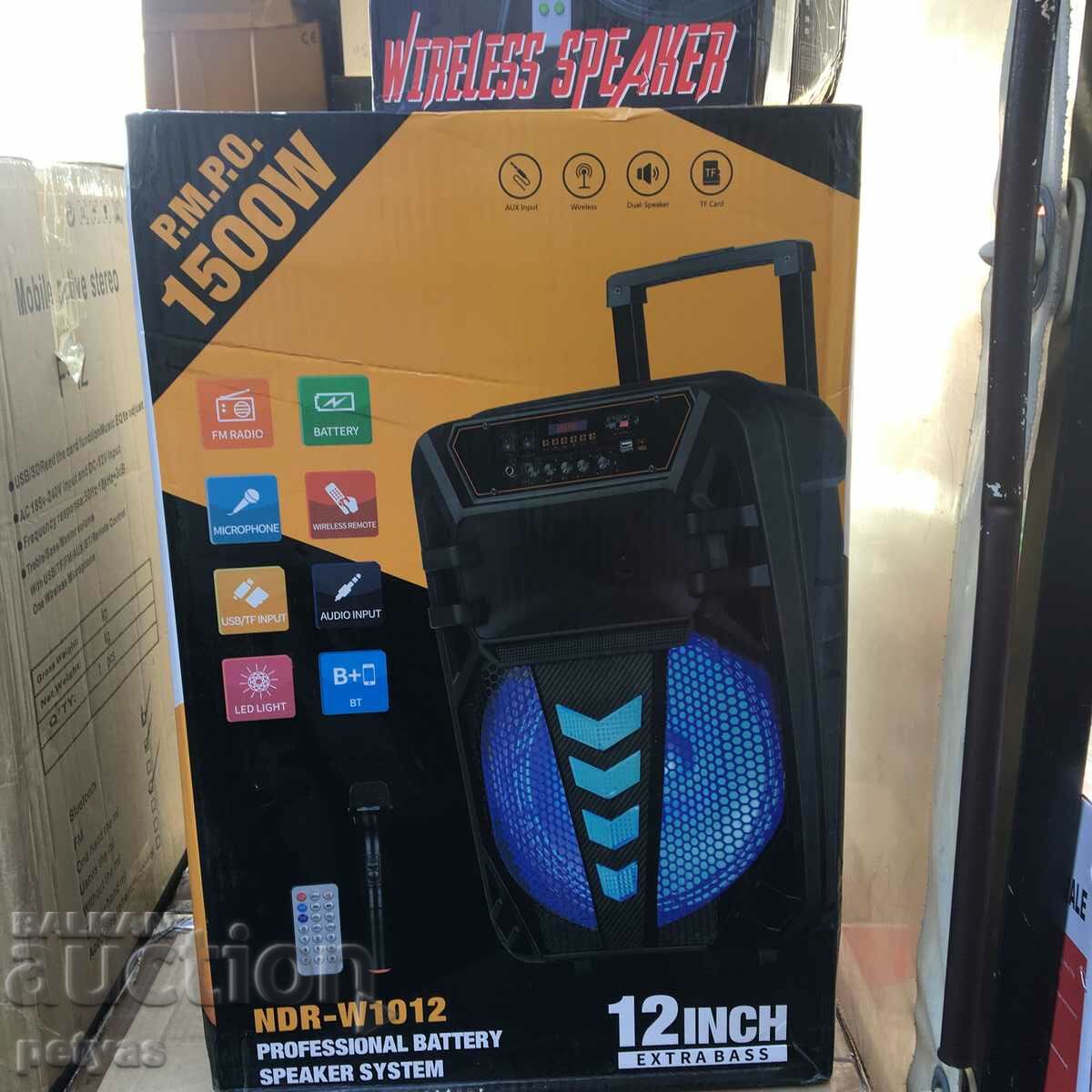 Difuzor Karaoke 12 inch NDR W1012 cu microfon wireless - 5