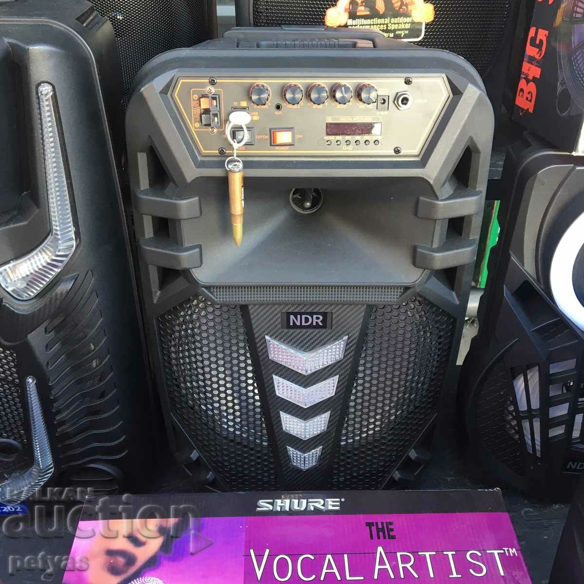 Difuzor Karaoke 12 inch NDR W1012 cu microfon wireless - 6