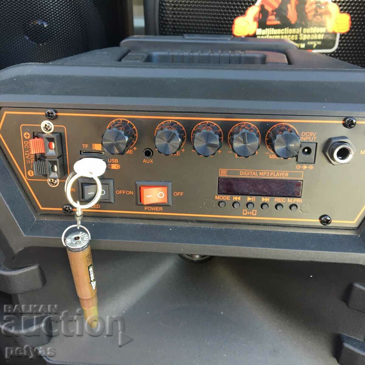 Difuzor Karaoke 12 inch NDR W1012 cu microfon wireless - 7