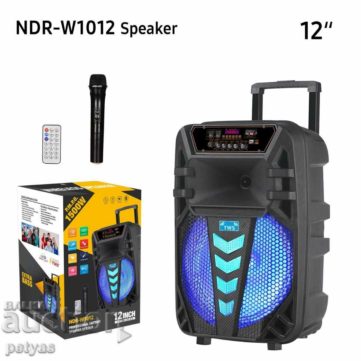 Karaoke speaker 12 inches NDR W1012 with wireless microphone