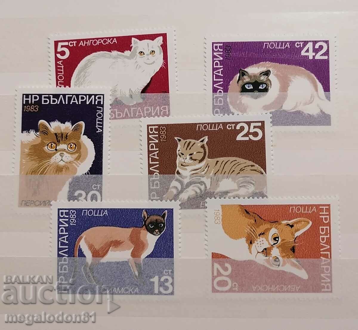 България - домашни породи котки, 1983г.