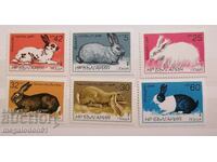 Bulgaria - rabbits