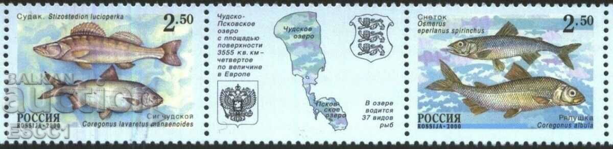 Чисти марки Фауна Риби 2000 от Русия