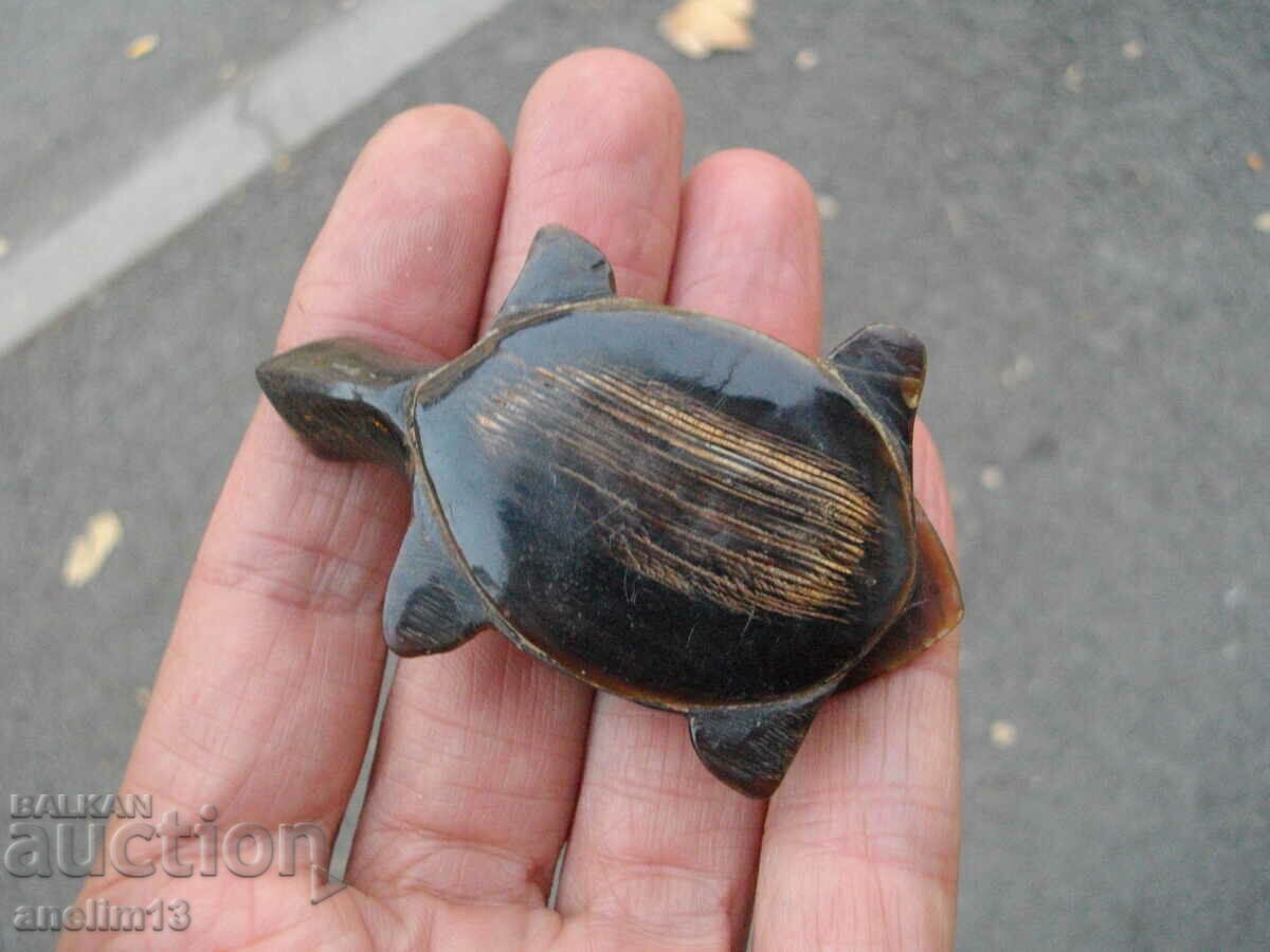 Licitație CUTIE VECHE DE COARN DE TESTOSĂ Licitație CUTIE VECHE DE COARN DE TESTOSĂ