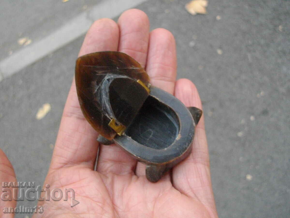 CUTIE VECHE DE COARN DE TESTOSĂ - 5 CUTIE VECHE DE COARN DE TESTOSĂ - 5