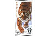 Pure brand Fauna Tiger 2022 from Russia