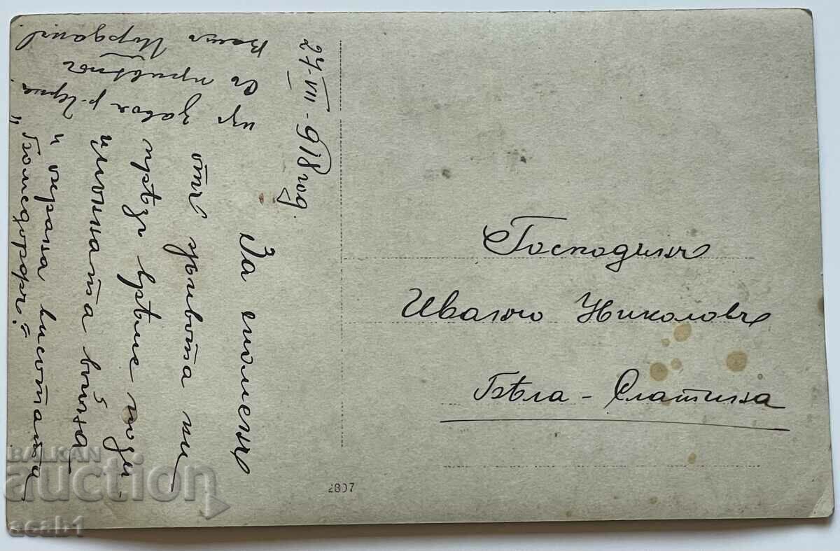 PSV Macedonia The heights near the Cherna river with price 44.99 BGN | € 23.00